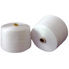 Ruwe witte 100% gesponnen polyestergarens Polyester gedraaide garens 20/2 30/2 40/2