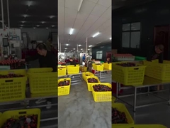 Polyester Naaiende Draad