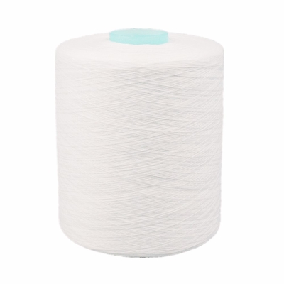 Dye Tube Polyester Garne 402 High Quality Paper Spun Garne Gratis monsters Op maat gemaakt